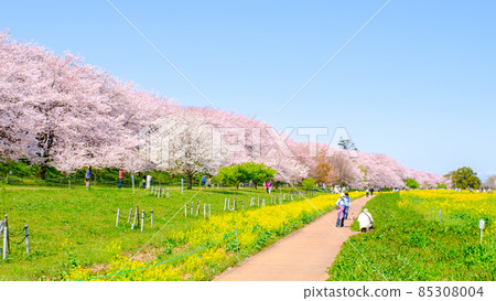 Gyodo神社 Gyodo神社 85308004