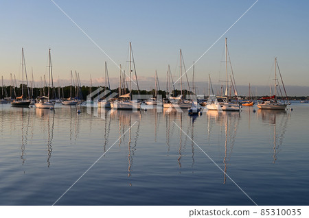 Moored sailboats off Coconut Grove in predawn light. Moored sailboats off Coconut Grove in predawn light. 85310035