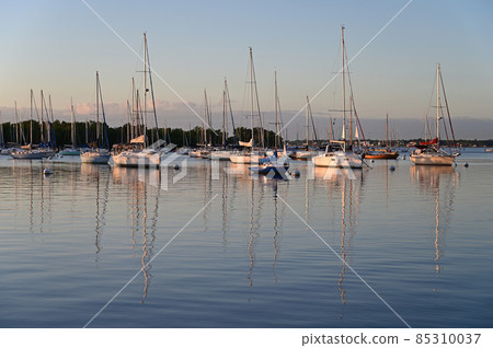 Moored sailboats off Coconut Grove in predawn light. 85310037