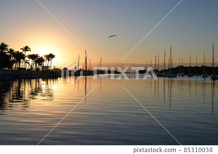 Sunrise at Dinner Key Marina in Coconut Grove, Miami, Florida. 85310038