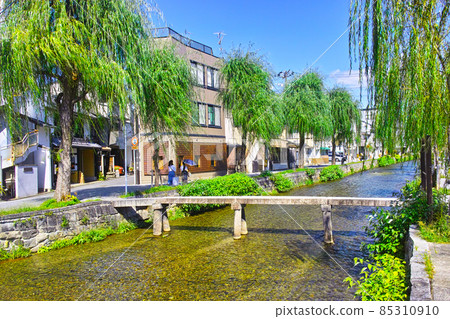 京都市東山區一橋和白川上的柳樹風景 85310910