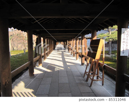 Tofukuji Bridge Corridor Tofukuji Bridge Corridor 85311046
