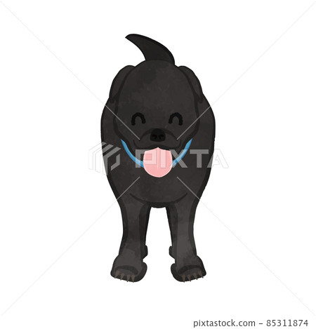 Cute American smiling hunting dog Black dog Ver Cute American smiling hunting dog Black dog Ver 85311874
