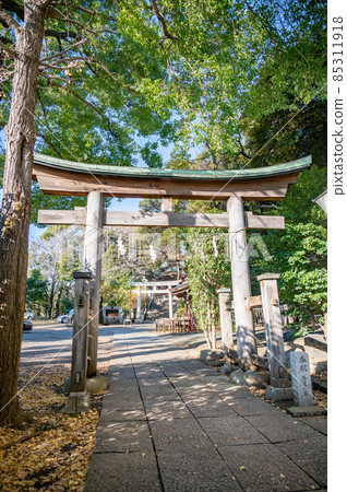 大田區雪谷八幡神社 大田區雪谷八幡神社 85311918