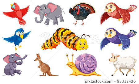 Set of isolated different animals 85312420