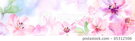 Spring Flowers: Fantastic cherry blossom banner background. Watercolor illustration. Loose touch. 85312506