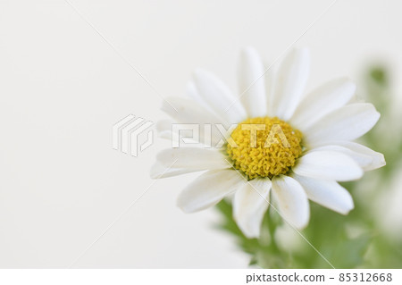 北極 北極 85312668