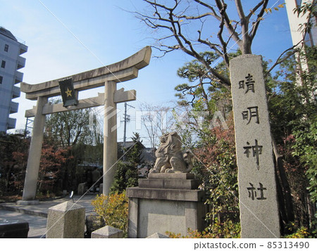 晴明神社的柱子、護衛犬和一隻鳥居 晴明神社的柱子、護衛犬和一隻鳥居 85313490