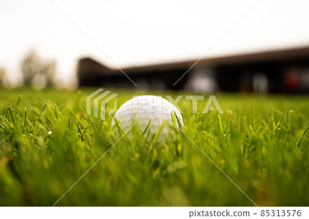 golf ball on the green grass. country club for golfers.  golf ball on the green grass. country club for golfers.  85313576