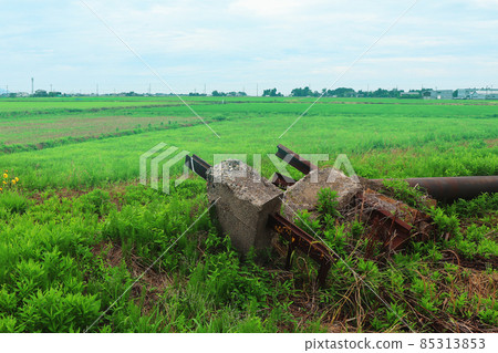 Fields and scrap wood Fields and scrap wood 85313853