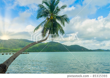 View of coconut trees and the sea on Koh Chang 85315393