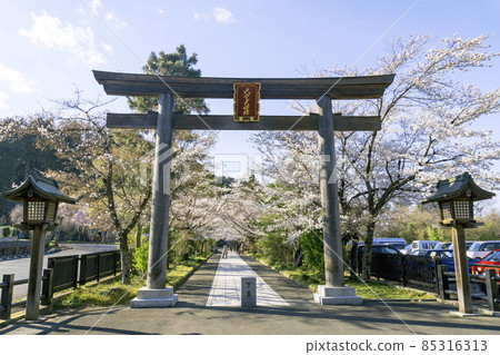 駒神神社鳥居與賞櫻之路/埼玉縣日高市 85316313