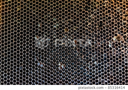Honeycomb from bee hive filled with golden honey 85316414