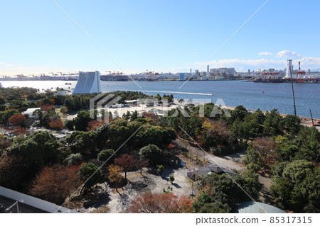 Odaiba Shiokaze Park distant view (November 2021) 85317315