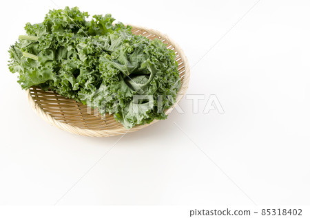 羽衣甘藍 85318402