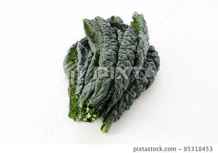Black cabbage 85318453