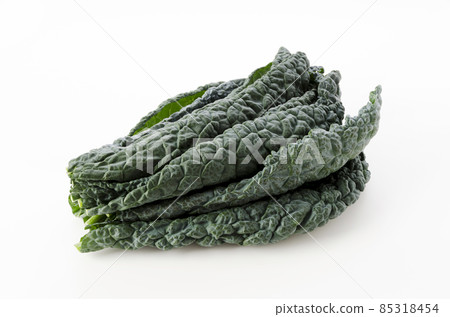Black cabbage 85318454