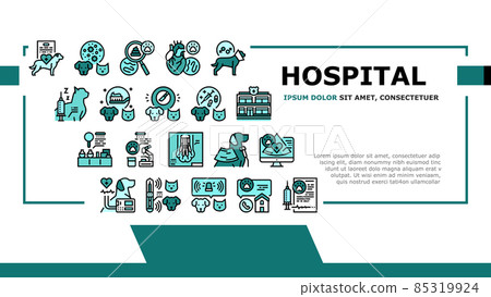 Hospital Pet Health Examination Landing Header Vector 85319924