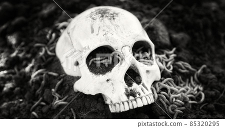 Human skull in the soil black and white 85320295