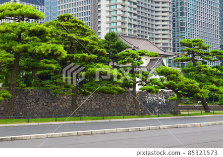 皇居的櫻田辰巳砲塔和我八月份參觀的摩天大樓之間的對比很有趣。 皇居的櫻田辰巳砲塔和我八月份參觀的摩天大樓之間的對比很有趣。 85321573