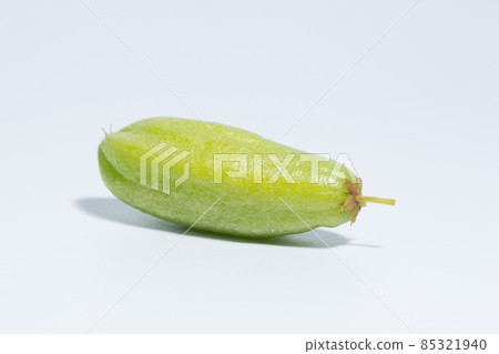 Bilimbi white background 85321940