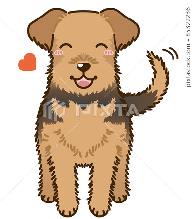 Natsuki Airedale Terrier (Welsh Terrier) Natsuki Airedale Terrier (Welsh Terrier) 85322236