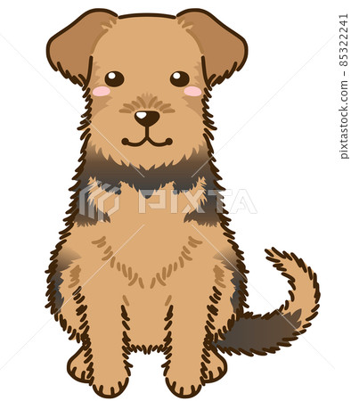 Airedale Terrier (Welsh Terrier) Airedale Terrier (Welsh Terrier) 85322241