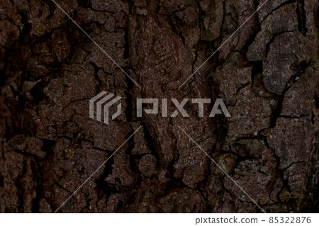 dark brown tree bark background dark brown tree bark background 85322876