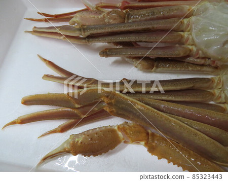 crab crab 85323443