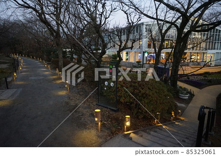 December Inagi 610 Evening View / Yomiuri Land HANA BIYORI December Inagi 610 Evening View / Yomiuri Land HANA BIYORI 85325061