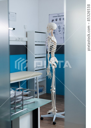 Side view of human skeleton structure standing in empty medical office Side view of human skeleton structure standing in empty medical office 85326538