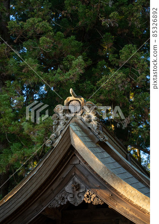[Yamanashi Prefecture] Kawaguchi Asama Shrine 85326892