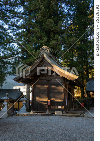 [Yamanashi Prefecture] Kawaguchi Asama Shrine 85326893