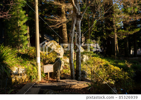 【山梨縣】川口淺間神社 【山梨縣】川口淺間神社 85326939