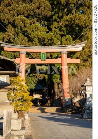 [Yamanashi Prefecture] Kawaguchi Asama Shrine 85327026