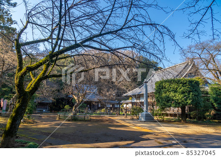 Shimizu Park Jikozan Kinjoin 85327045