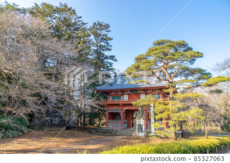 清水公園、地高山金城、仁王門 85327063