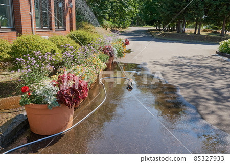 Watering the flowerbed with a swing-type sprinkler Watering the flowerbed with a swing-type sprinkler 85327933