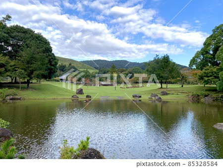 Nara Park pond and flock of deer 85328584