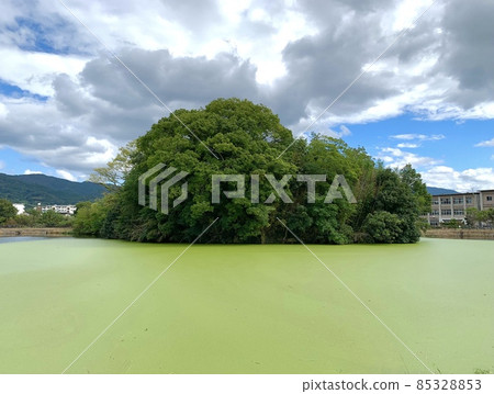 夏季牧目遺產胜山古墓 夏季牧目遺產胜山古墓 85328853