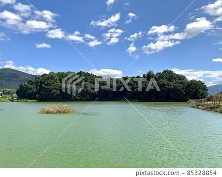 夏季筷子墳墓 夏季筷子墳墓 85328854