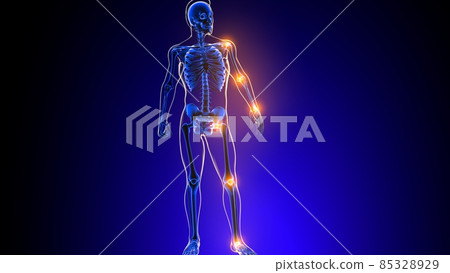 Human skeleton joint pain Anatomy For Medical Concept 3D 85328929