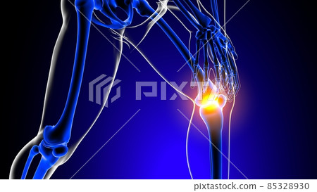 Knee joint pain Anatomy For Medical Concept 3D Knee joint pain Anatomy For Medical Concept 3D 85328930