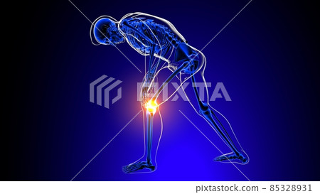 Knee joint pain Anatomy For Medical Concept 3D 85328931