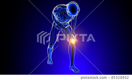 Knee joint pain Anatomy For Medical Concept 3D Knee joint pain Anatomy For Medical Concept 3D 85328932