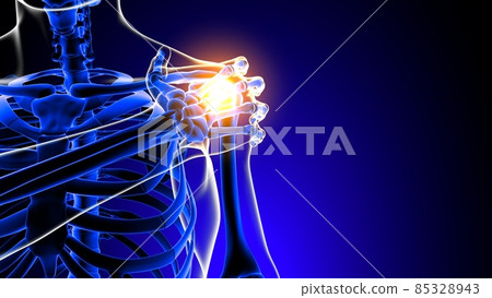 Shoulder joint pain Anatomy For Medical Concept 3D 85328943