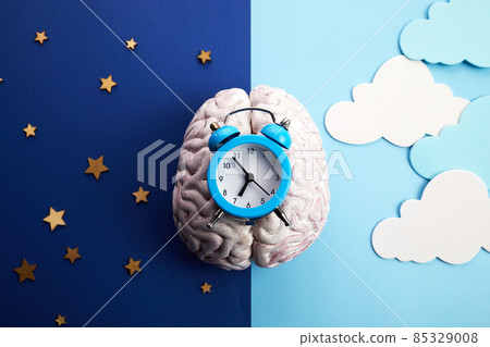 The circadian rhythms are controlled by circadian clocks or biological clock 85329008