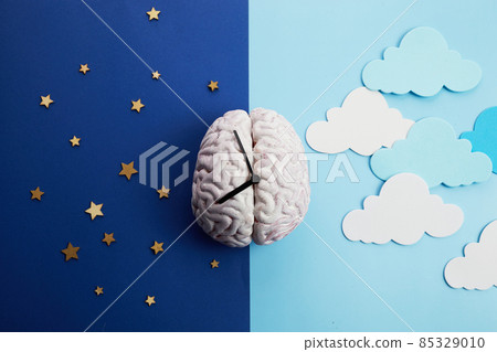 The circadian rhythms are controlled by circadian clocks or biological clock 85329010