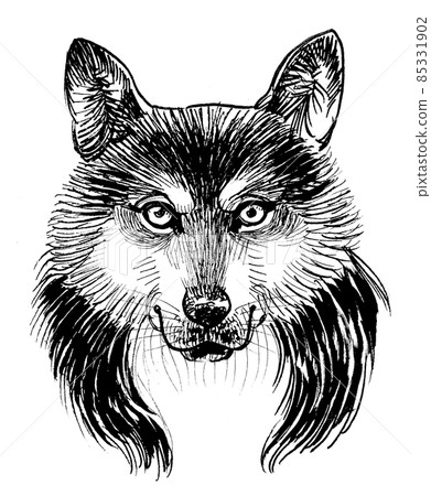 Wolf head. ink black and white drawing Wolf head. ink black and white drawing 85331902