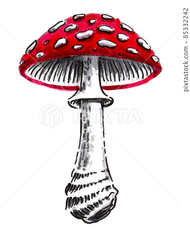 Poisonous fly-agaric mushroom. Ink and watercolour drawing 85332242